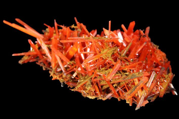 Bright Orange Crocoite Crystal Cluster - Tasmania #129100